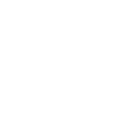 shield icon